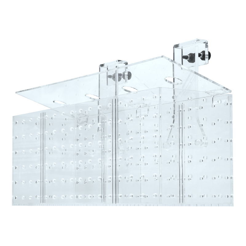 Grotech Akklimatisierungsbox 3-Kammern