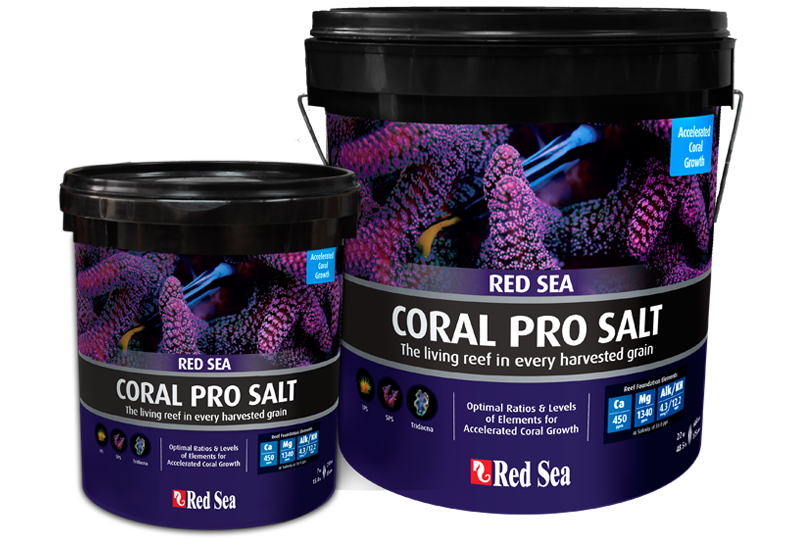 Red Sea Coral Pro Meersalz 22 kg Eimer (R11230)