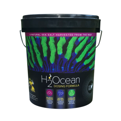 D-D H2Ocean Dosing Formular Salz 23kg