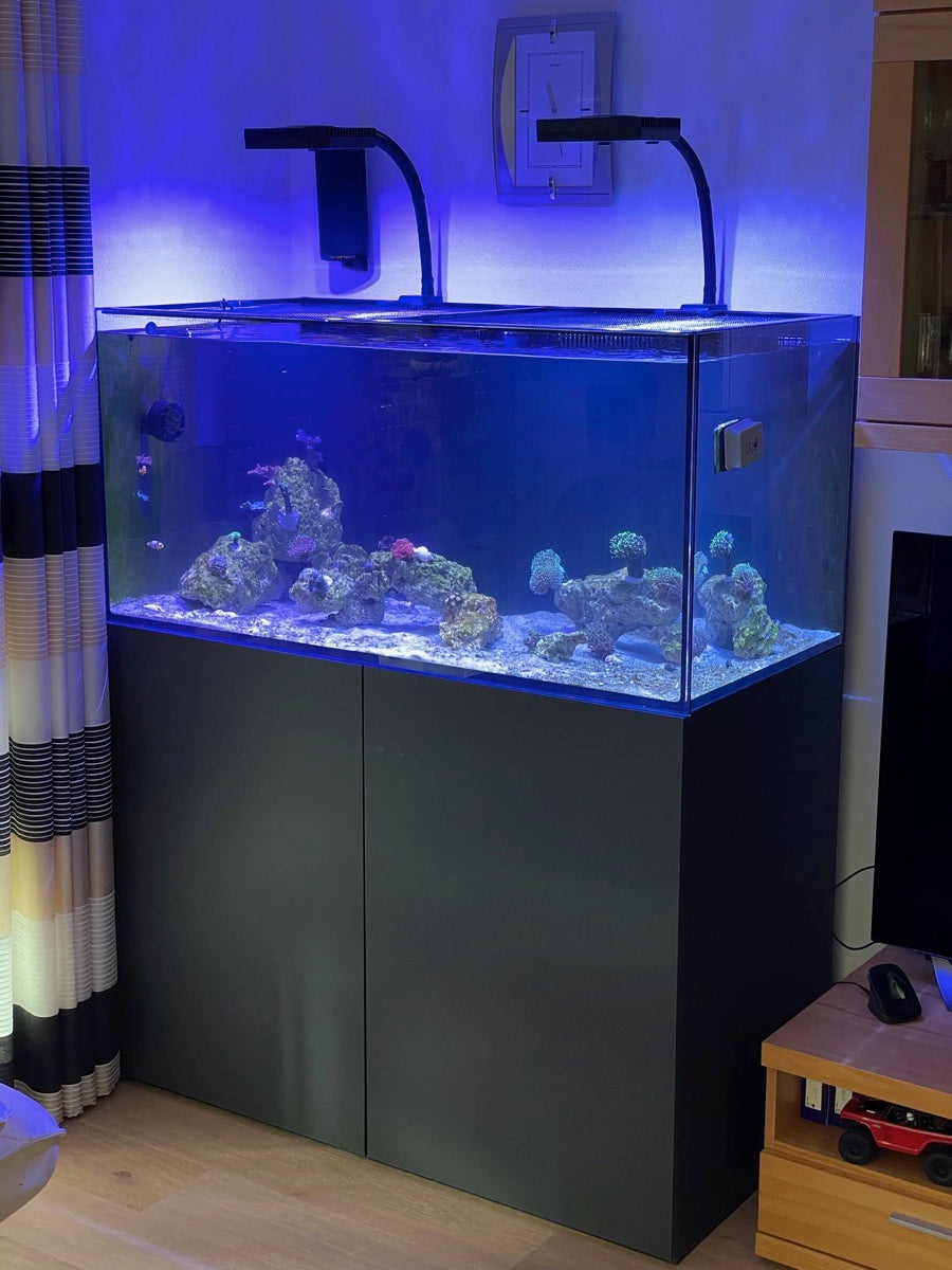 D-D AQUA-Pro Reef 1200 Black Satin 120x60x56cm Aquariumsystem mit Holzschrank