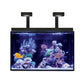 Red Sea MAX® E 260 LED (mit 2x ReefLED) Schwarz (R40040)