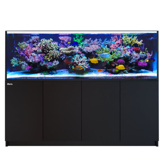 Red Sea REEFER™ 900 System G2+ Schwarz (R42441G2P-EUR)