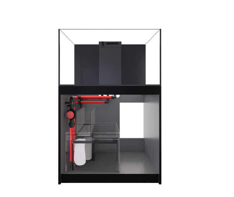 Red Sea REEFER™ 250 System G2+ Schwarz (R42121G2P-EUR)