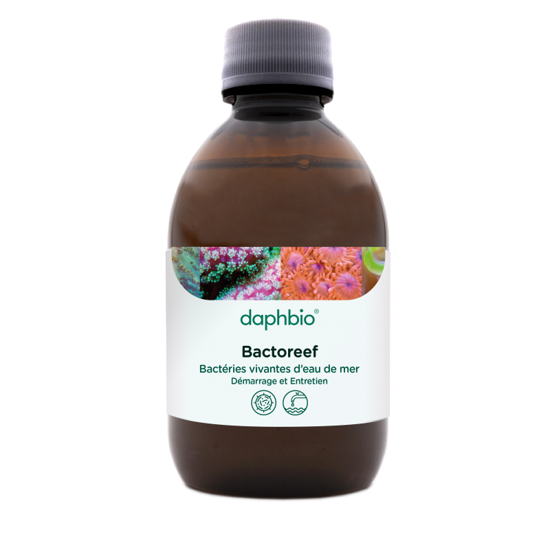 daphbio Bactoreef 250 ml