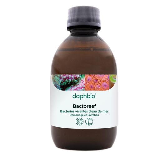 daphbio Bactoreef 250 ml