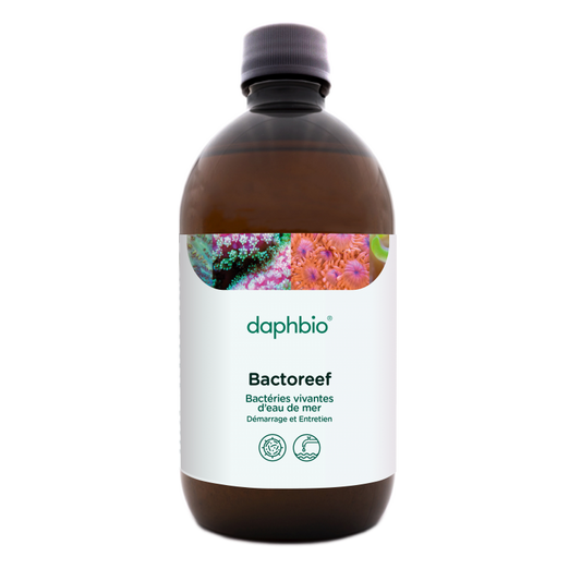 daphbio Bactoreef 500 ml