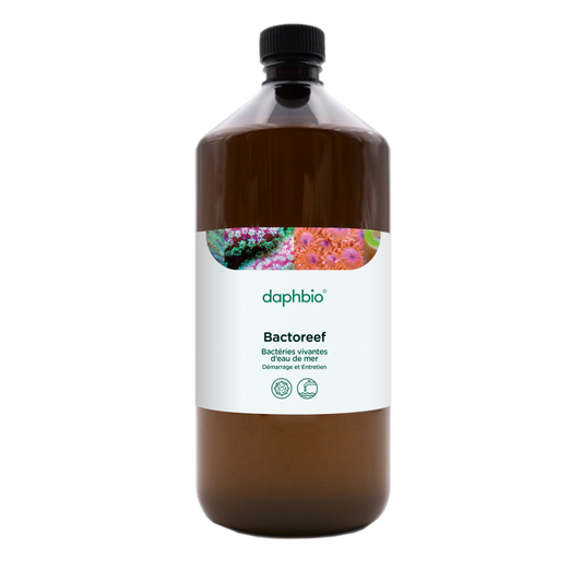 daphbio Bactoreef 1000 ml