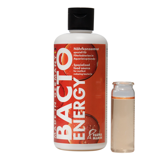 Fauna Marin Bacto Energy Nährkonzentrat 250 ml