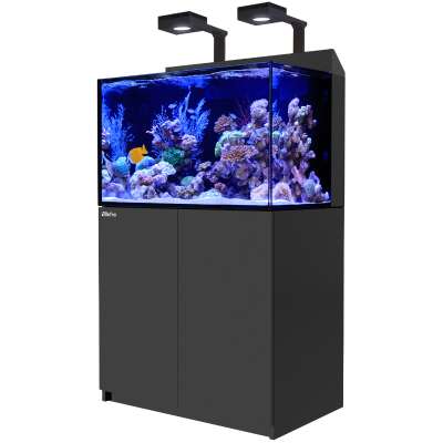 Red Sea MAX® E 260 LED (mit 2x ReefLED) Schwarz (R40040)