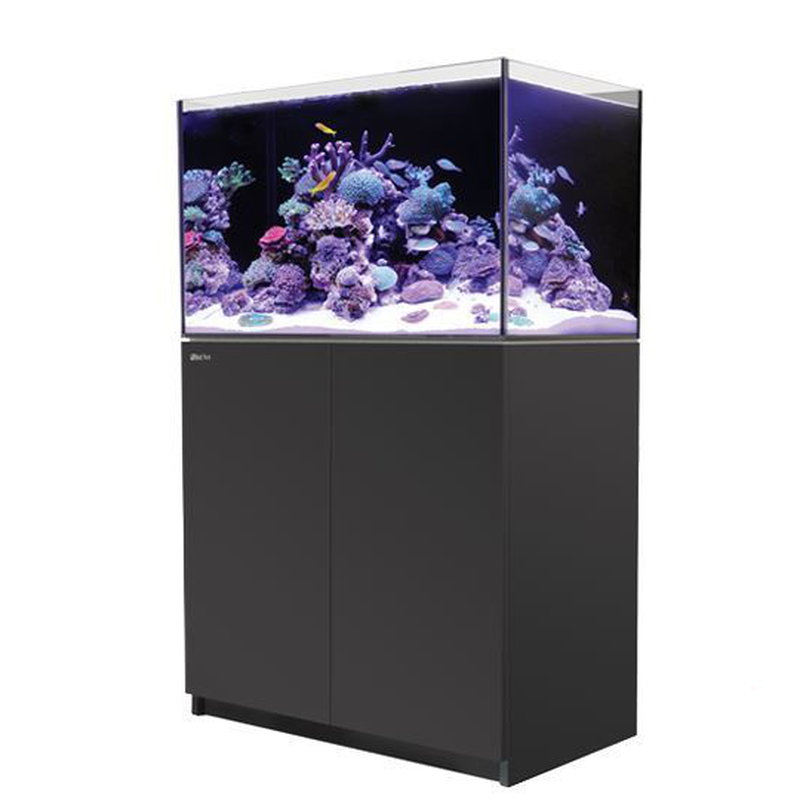 Red Sea REEFER™ 250 System G2+ Schwarz (R42121G2P-EUR)